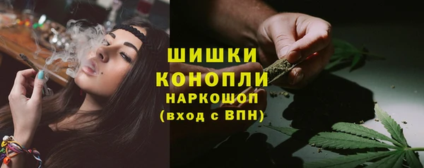 дживик Гусь-Хрустальный