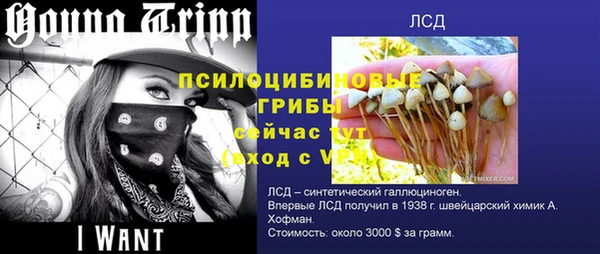 MDMA Гусев