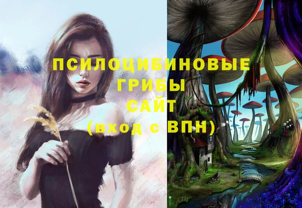 хмурый Гусиноозёрск