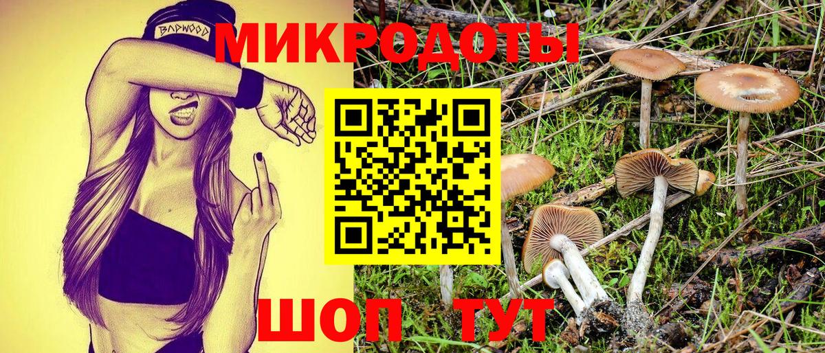 Псилоцибиновые грибы GOLDEN TEACHER  купить  сайты  Нерюнгри  Вход с VPN 
