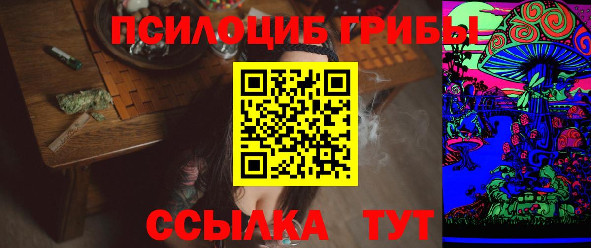 Псилоцибиновые грибы Psilocybe Нерюнгри